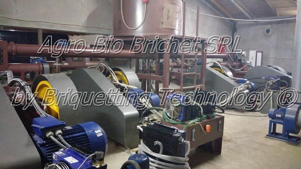 LINIE BRICHETARE DIN PAIE COBADIN 2017 agro bio brichet srl brichetare cobadin
